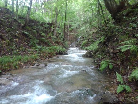 大増水の渓で苦戦